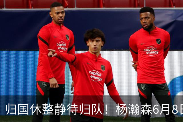 归国休整静待归队！杨瀚森6月8日会师中国男篮，蓄力世预赛补强内线短板